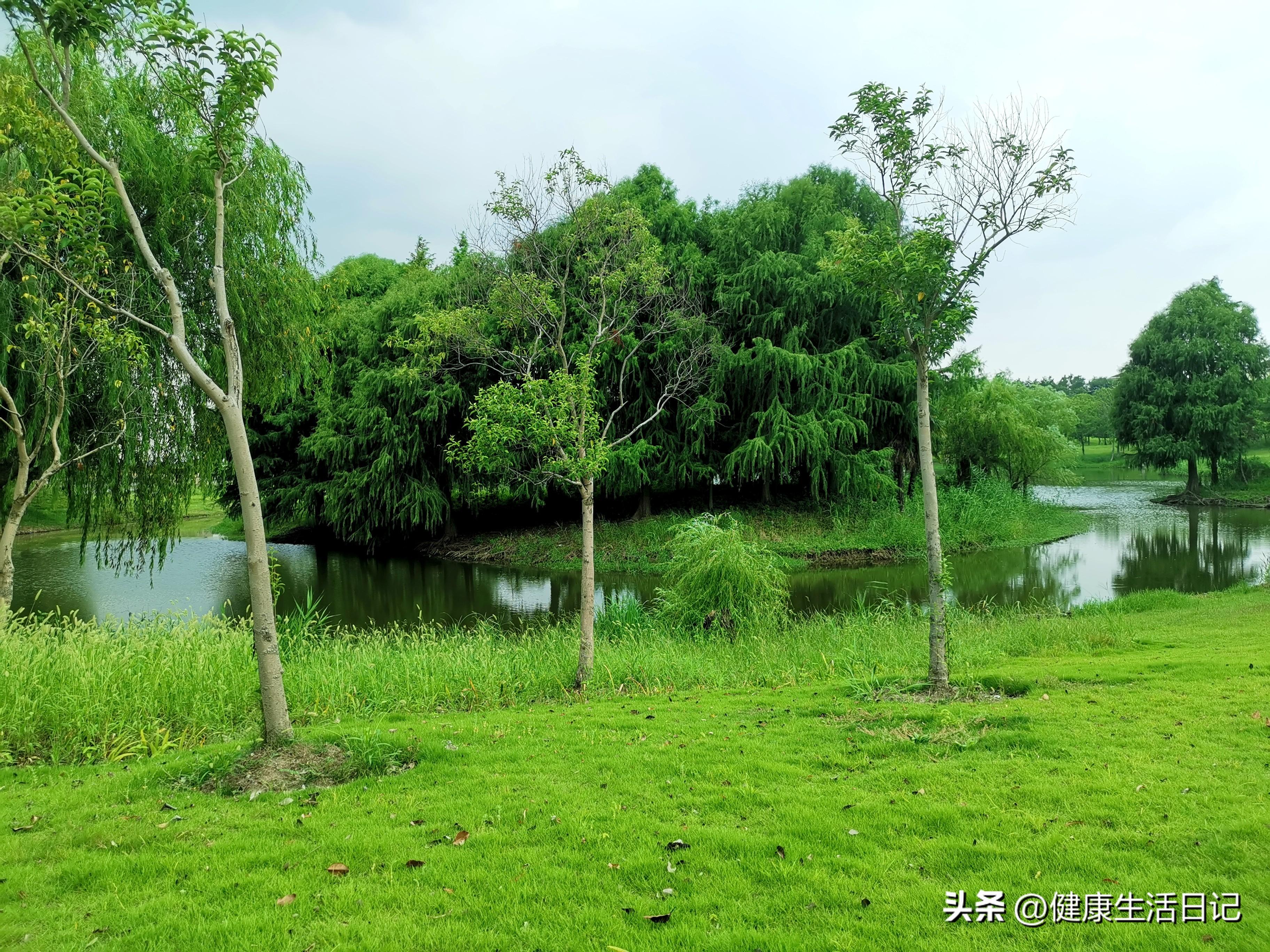 绿色出行，构建可持续未来的关键路径，减少碳排放行动起来！