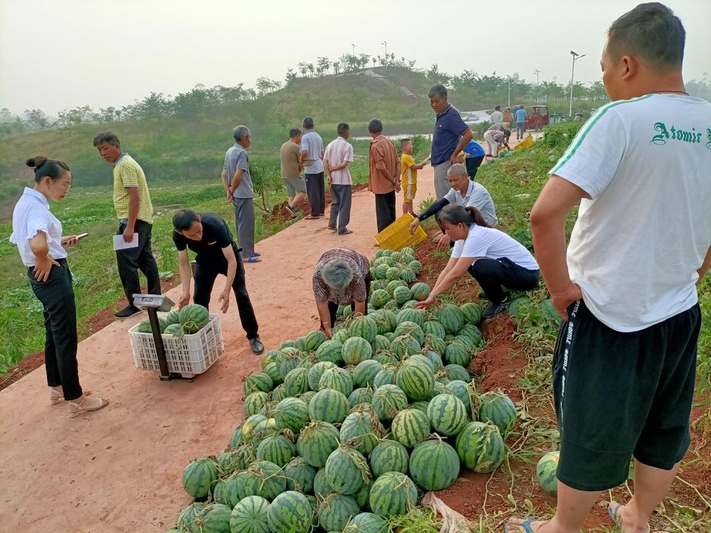 共享经济对企业管理模式的冲击与挑战