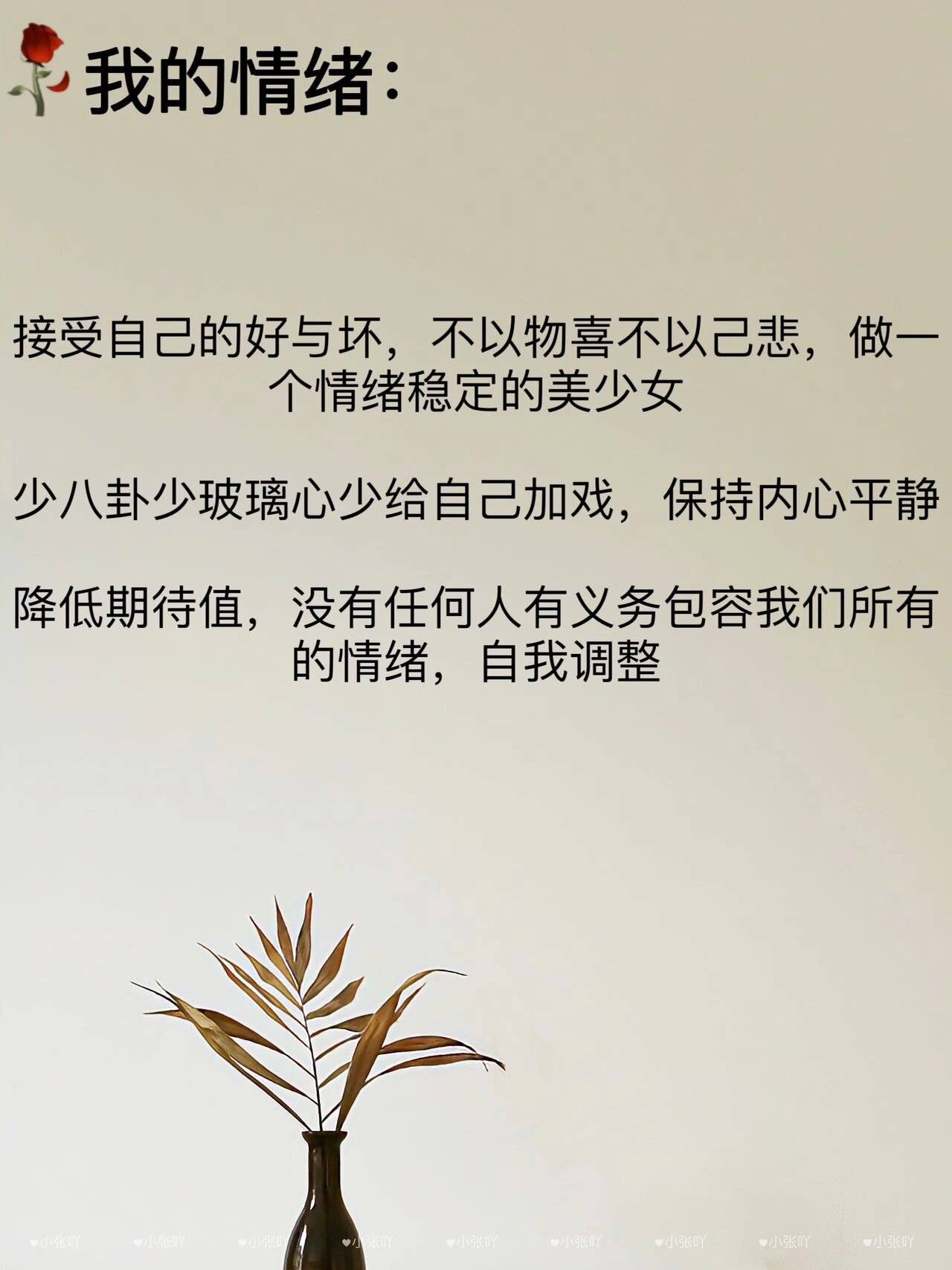 每日心情记录，压力缓解的有效策略