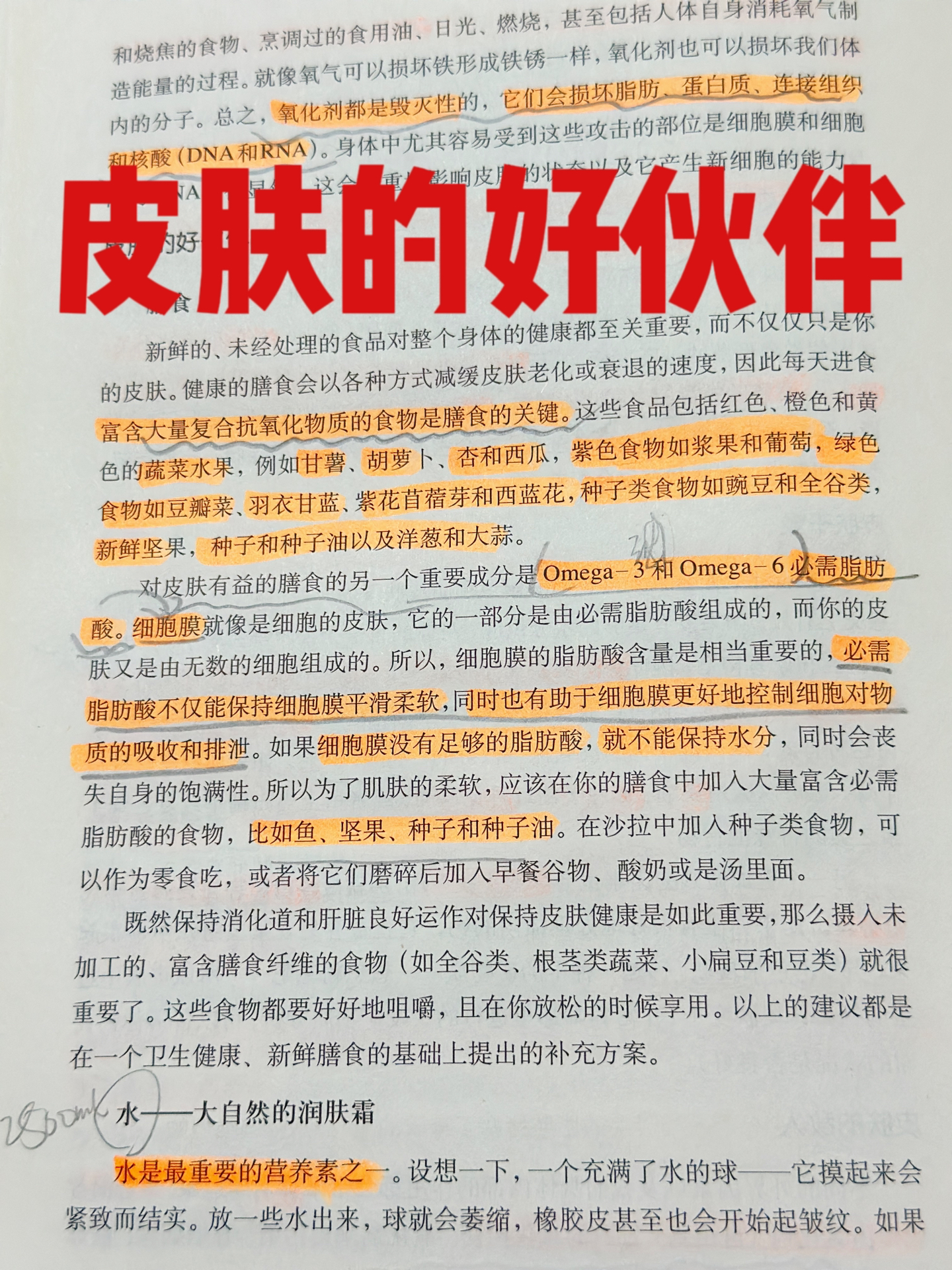 食疗食谱，促进皮肤自我修复秘诀