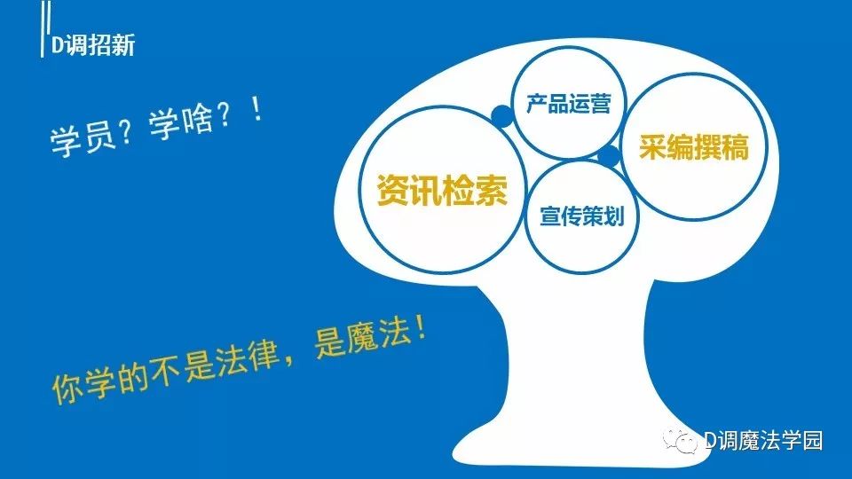 教育公平，为社会创造力注入源源不绝的动力