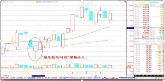 上市公司大股东的角色定位与责任解析