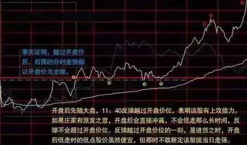 股票分红流程详解，散户如何受益及分红到账全过程解析