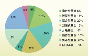 混合型基金的风险解析与评估