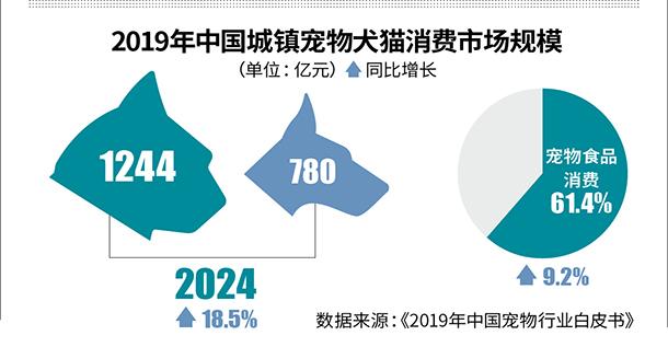 探究未来，2024年中国经济增长的动力源泉