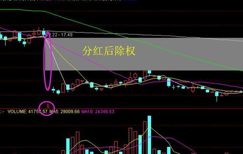 散户买股票分红攻略，如何获取分红收益？