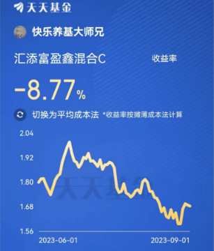 盈富基金股票一手价格深度解析