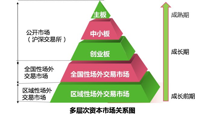 外部市场的动态演化与多元发展之路