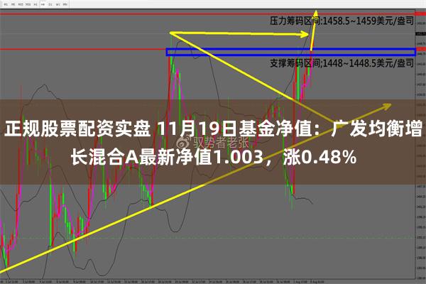 广发均衡优选混合A最新净值深度解读