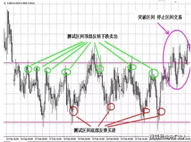 揭秘最神奇外汇交易方法，高效策略与技巧的探索