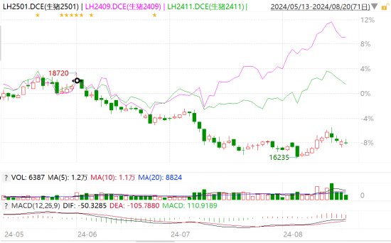 期货是否包含ETF？期货与ETF关系的深度解析。