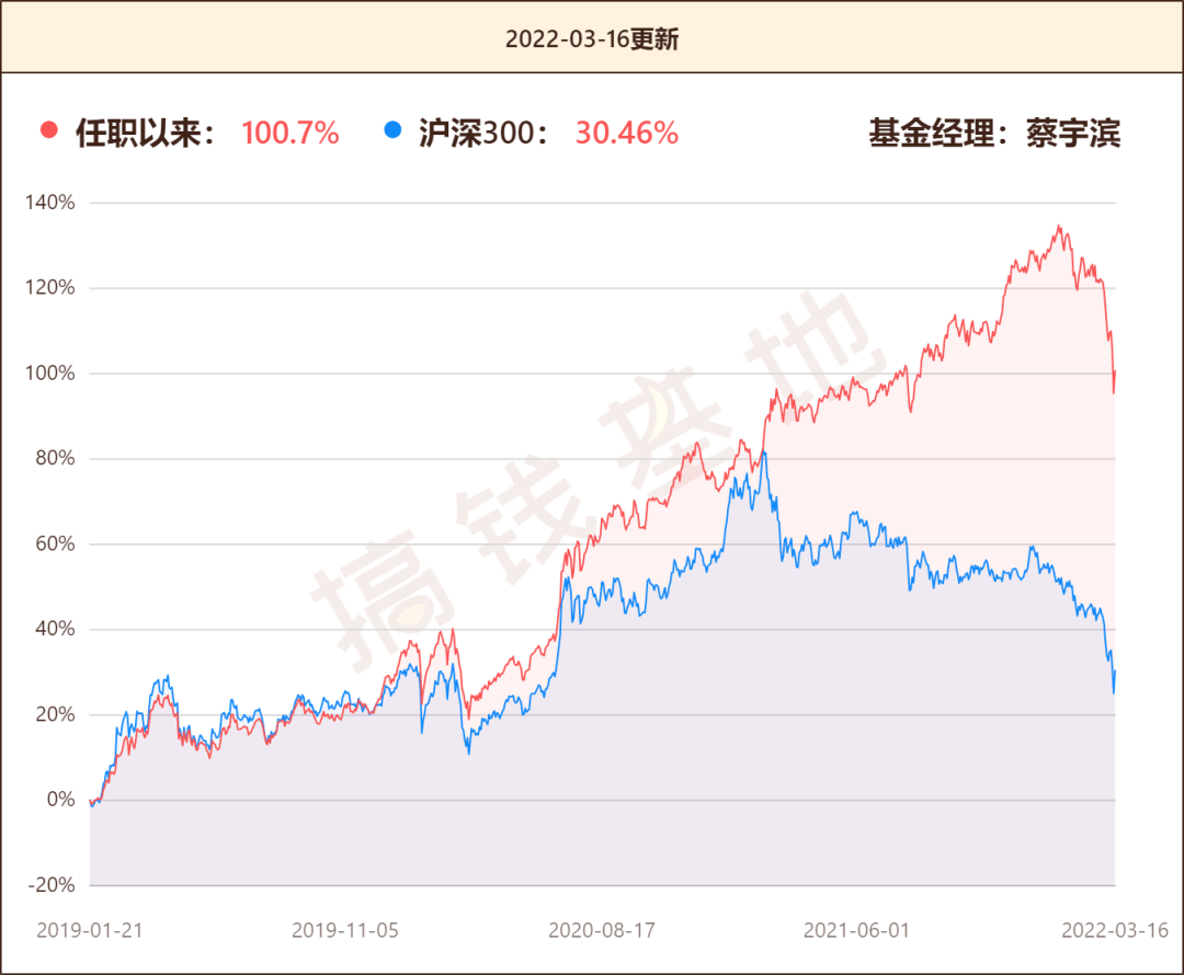 股票与股票型基金关系的深度探究