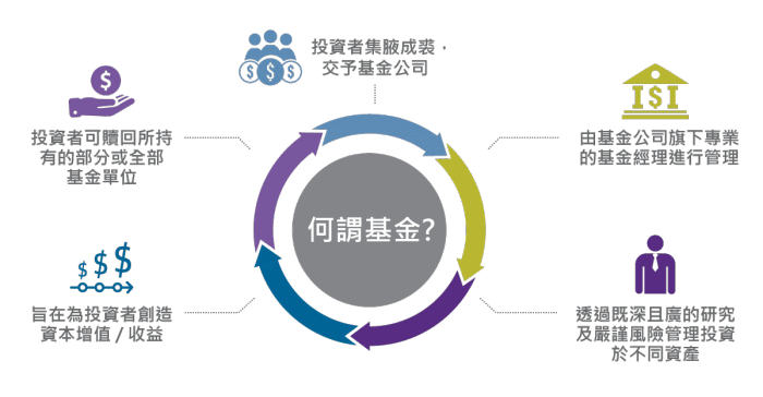 基金类型概览，深度解析及投资策略探讨