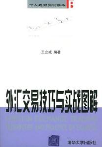 外汇交易策略实战技巧深度探讨