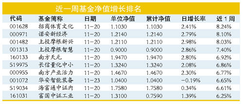 股票型基金的种类与特点，探索投资领域新机遇的指南