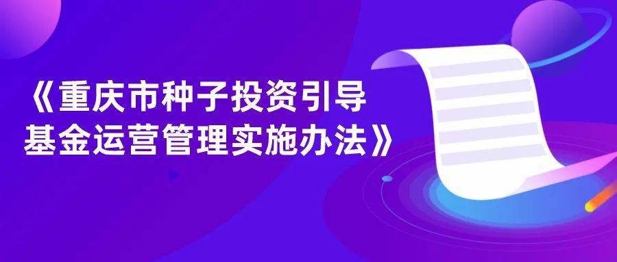 基金风险防控实施策略与方案