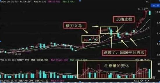 2025年1月11日 第2页