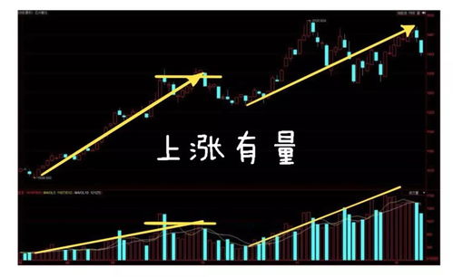 多重因素推动股市上扬，今日股市上涨原因分析