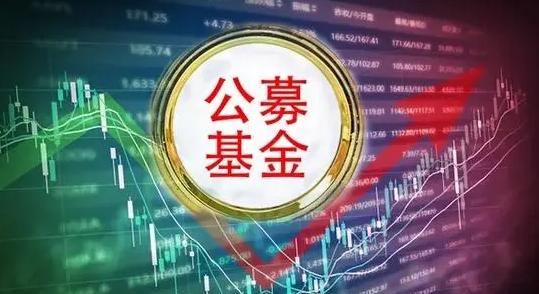 债券基金的分红频率解析及探讨