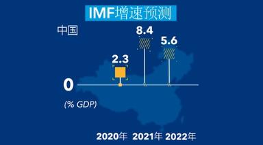 IMF世界经济展望2021，全球经济趋势与挑战解析