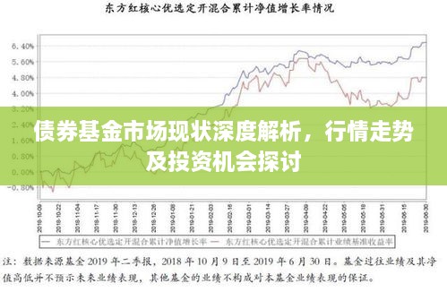 债券市场多维行情解读，最新走势分析与市场趋势预测