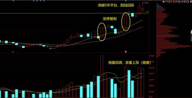 蓝筹股概览与核心股票解析