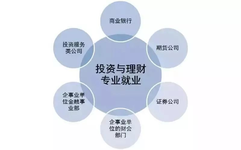 投资组合管理的核心环节，构建稳健策略，实现投资回报最大化