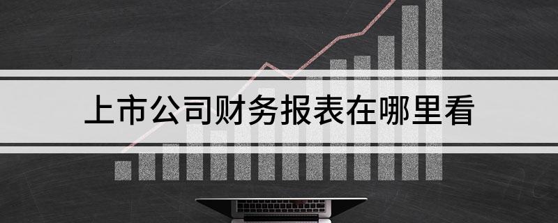 全面解析财务报表获取途径及其重要性，如何查看财务报表？