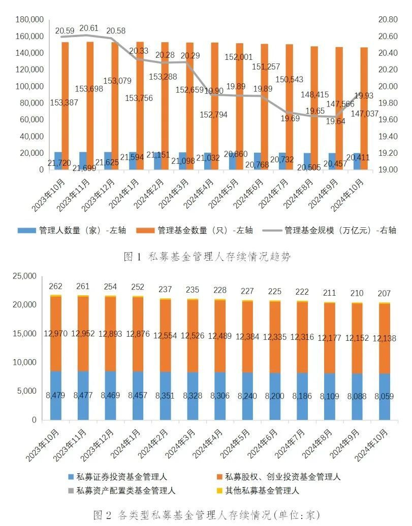 文章引言，探索未知领域的前奏