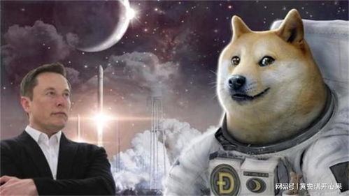 Doge狗狗币最新行情解析与未来展望