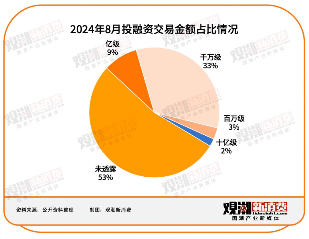 2024年8月融资趋势展望与策略深度解析