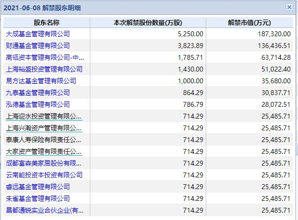 股票基金发行价详解，解析与理解指南